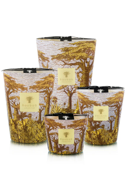 Sacred Trees Cocody scented candle
