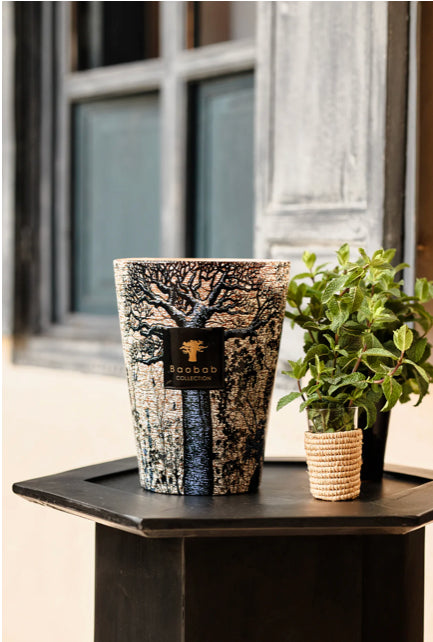 SCENTED CANDLE SACRED TREES SEGUELA
