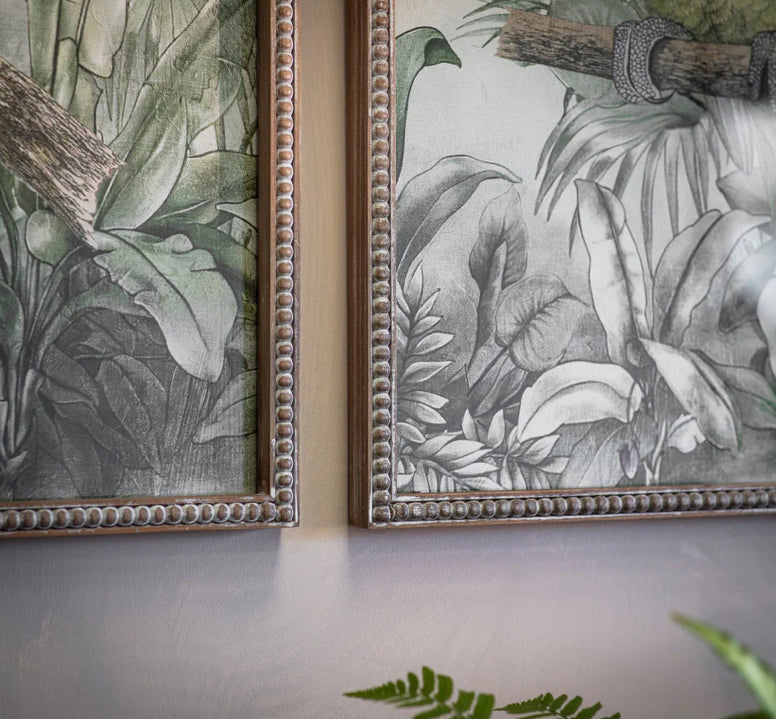 Moreton Parrots Prints