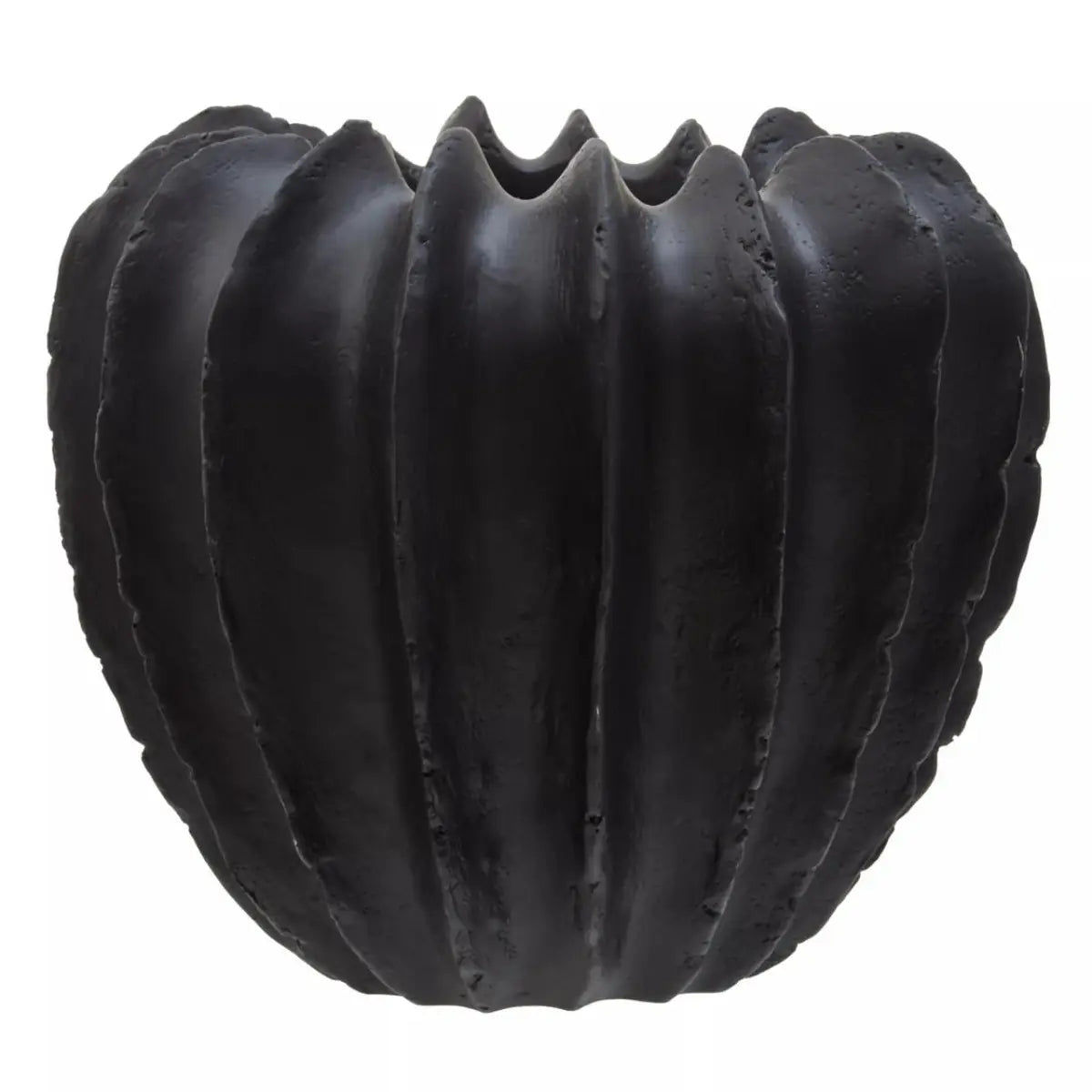 Sandys Black Natural Ridge Wave